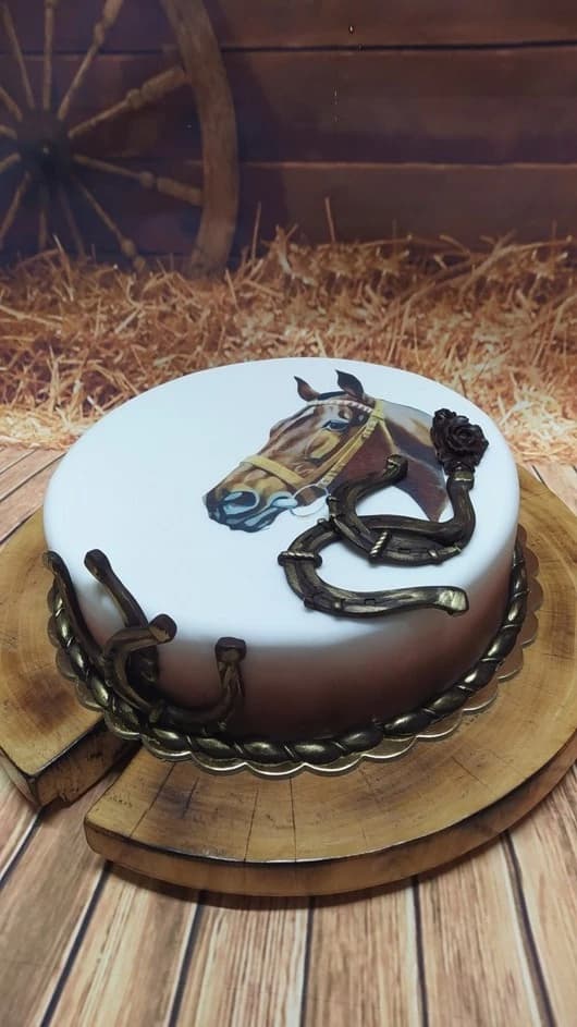 Hlava koně + podkovy