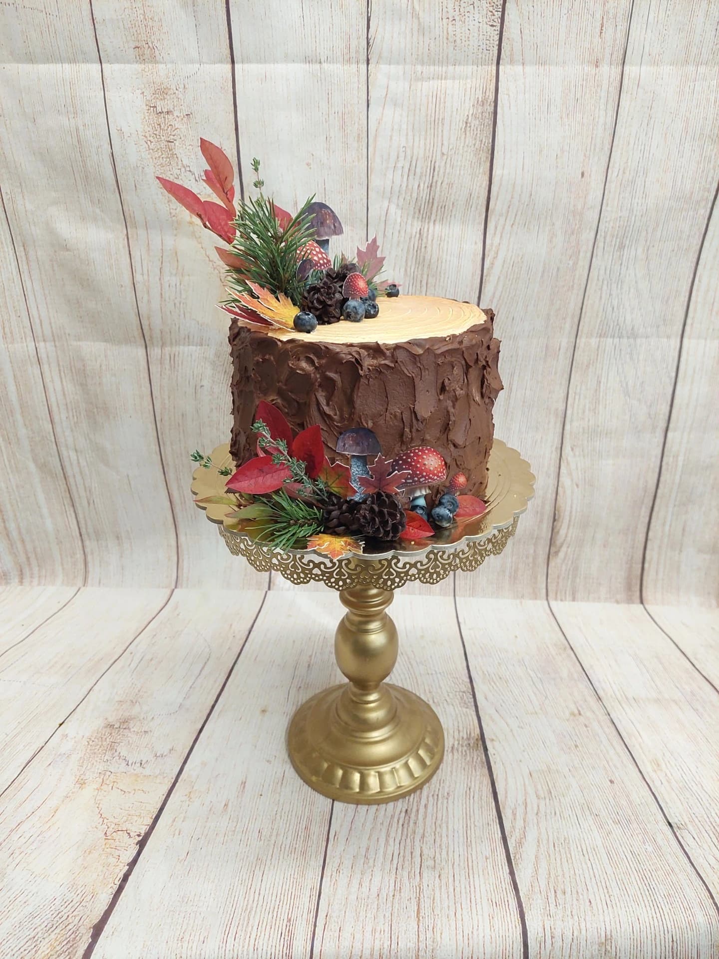 Pařez s houbami + šišky