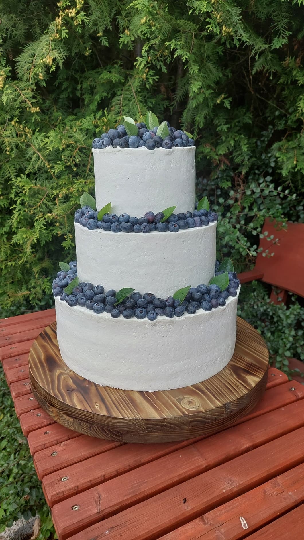 Hladký s borůvkami dokola