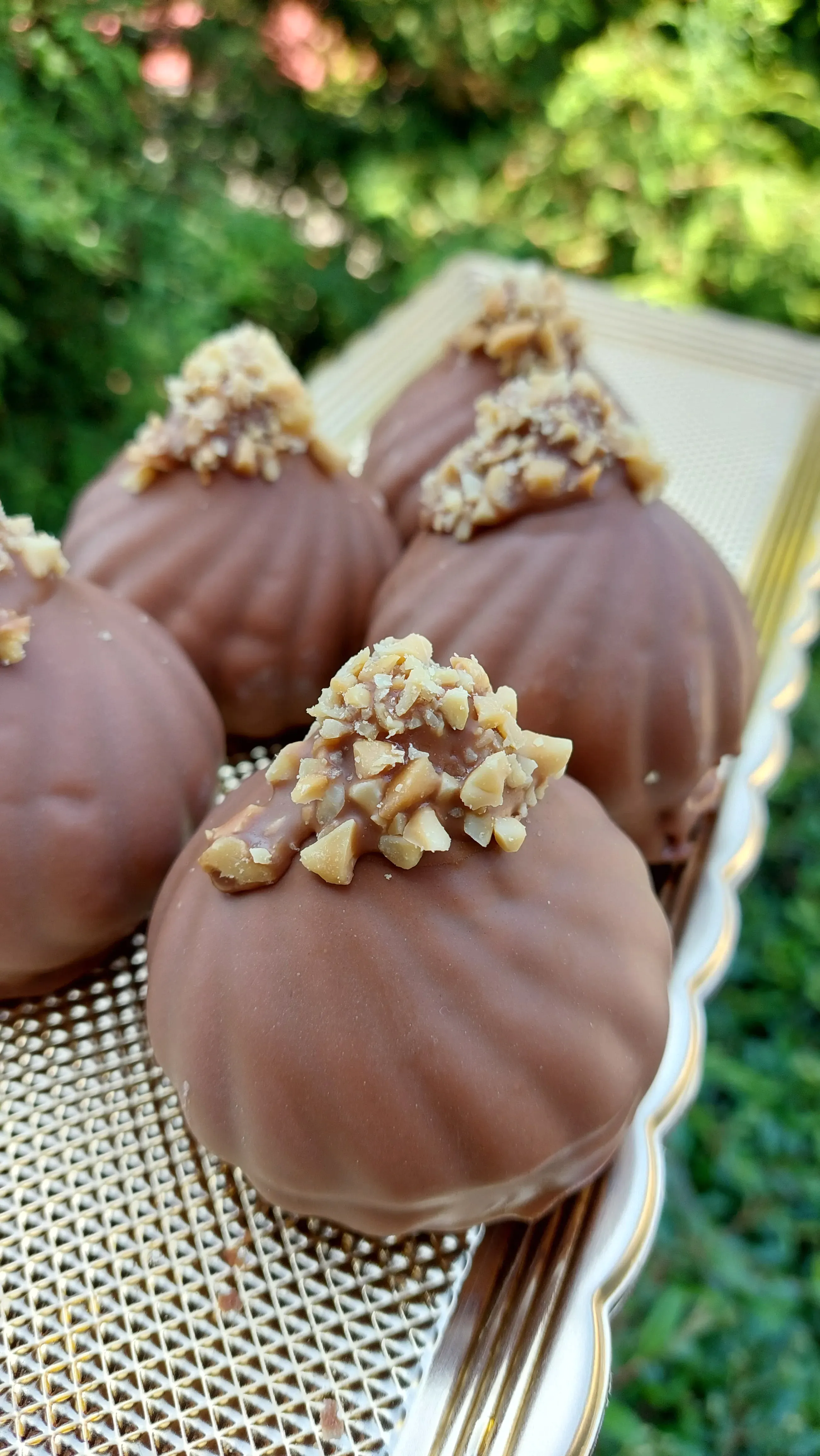 Lubošova arašídová špice